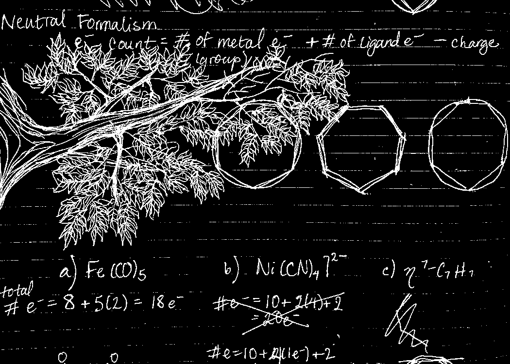 doodle of a tree over a set of chemistry notes